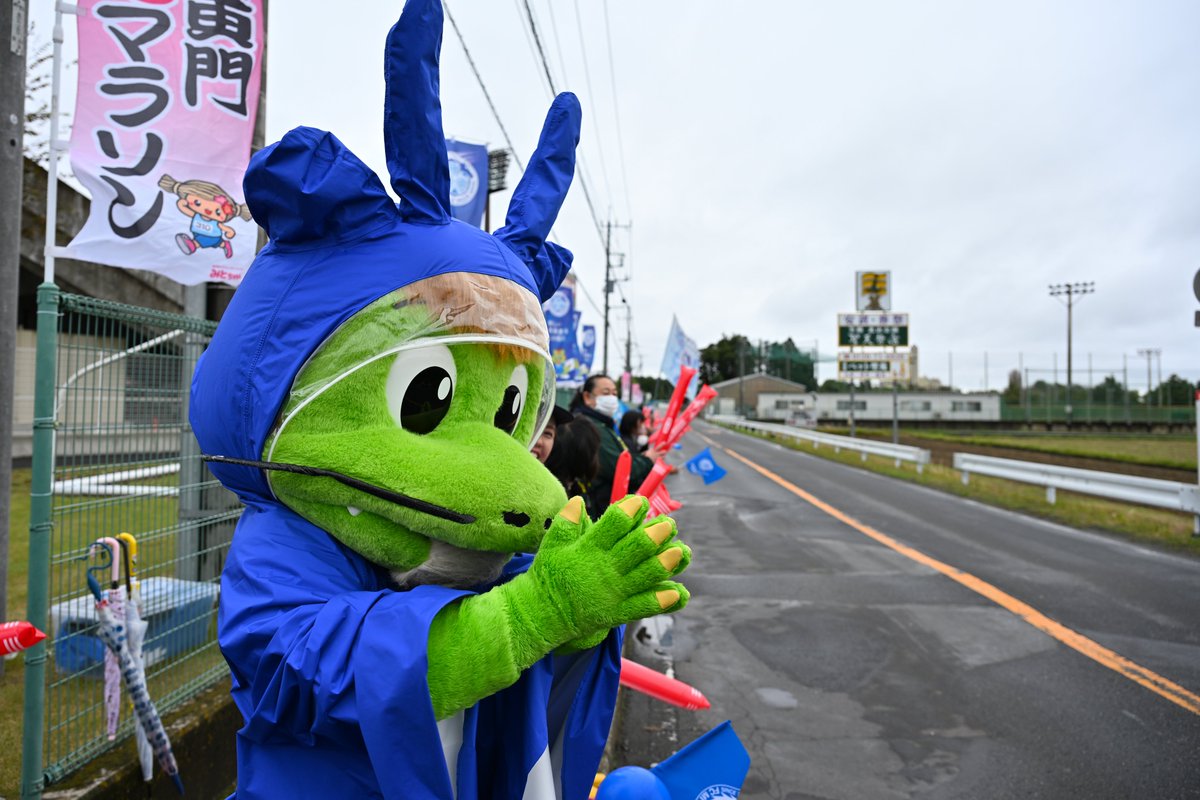 hollyhock_staff's tweet photo. 10/26(日) 今年も  #ホーリーくん が、#ランナー応援隊 として、 #水戸黄門漫遊マラソン のランナーの皆さんを、ファン・サポーターの皆様と一緒に応援してきました📣

また、今年も #水戸ホーリーホック のアカデミー・フロントスタッフの有志が、「やりきる走りきる、札幌に念を送る」をテーマに出場し、7年ぶりの全員完走を果たしました。

ランナーの皆さんからも、沿道からも、「ホーリーホックがんばれ！」と多数お声がけ頂きありがとうございました！