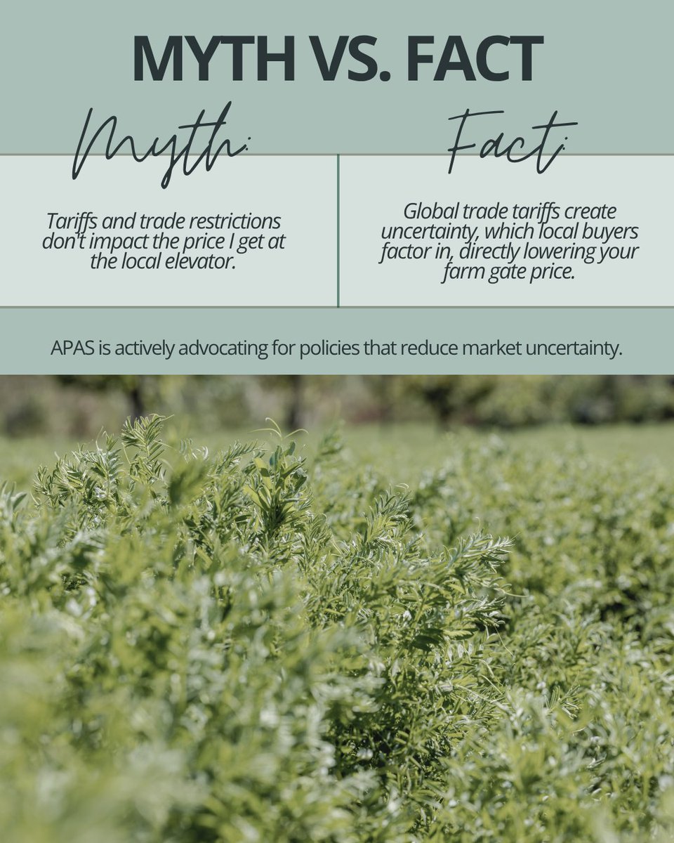 AgProducersSK's tweet image. Myth Busted! 💥 

Global politics isn&apos;t just headlines; it&apos;s a financial threat that lowers the value of your harvest. APAS is working to secure policies that remove this risk.

#TradeTariffs #KnowTheFact #FarmingFinance