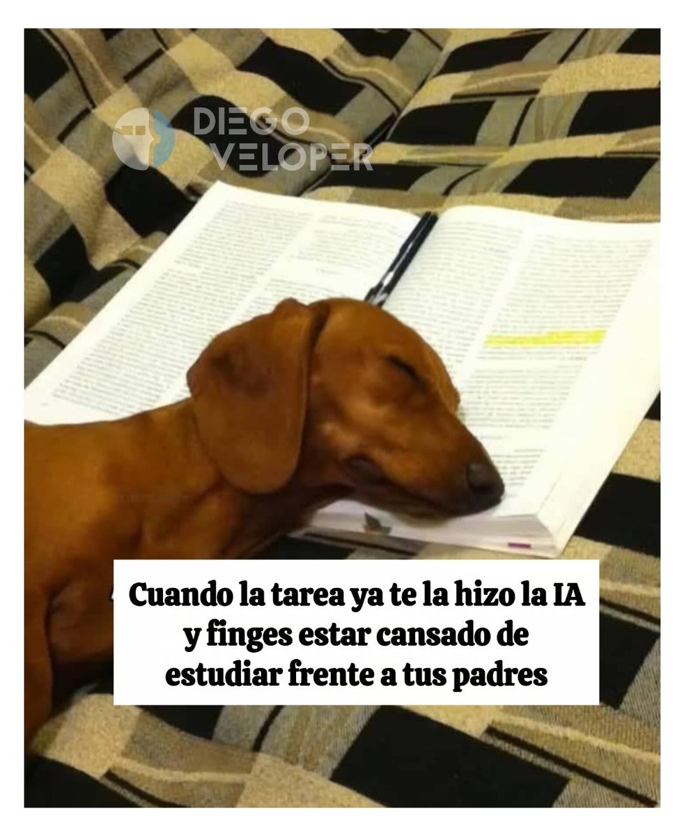 memeveloper's tweet image. 