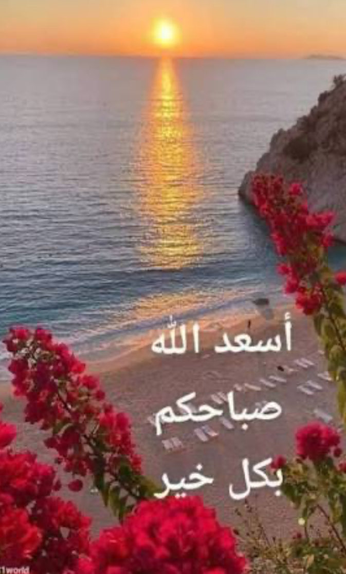 صباح الســعادة لكل قلب
لا يحمل إلا الحُب والخير لمن حوله

صباح الأشياء الجميـلة التي 
نعجزُ أحياناً عن إدراك روعـــتها