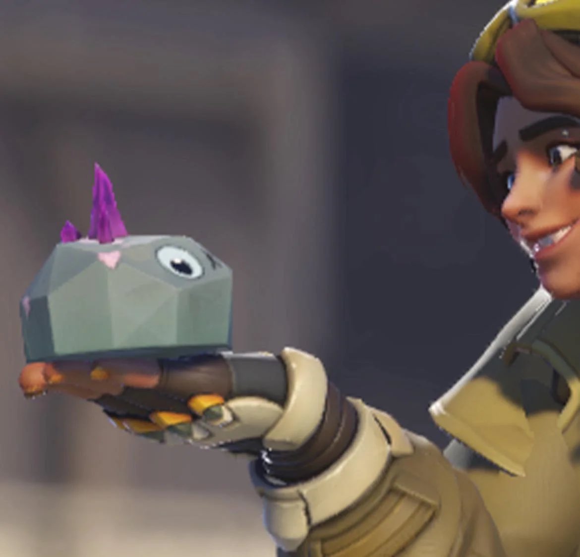 OWClubAtUSF's tweet image. alright gang we got approval for a pet rock what should we name it?