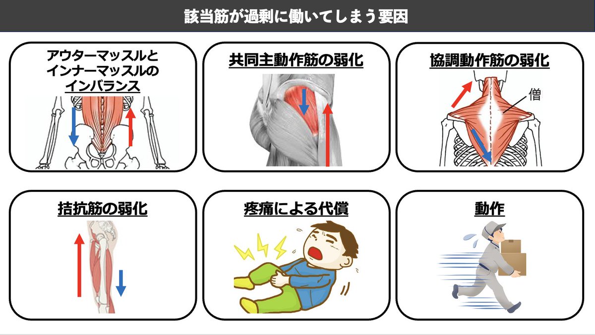 森/腰・下肢痛×PT×GBC代表 on X