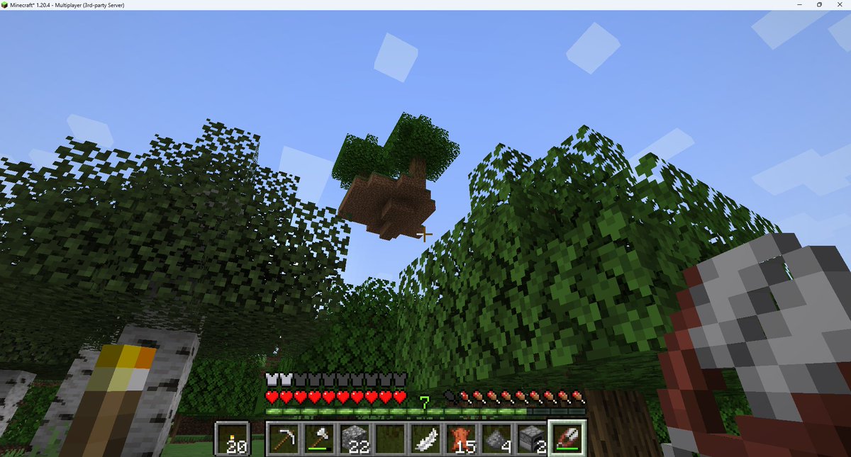 when they add skyblock to vanilla