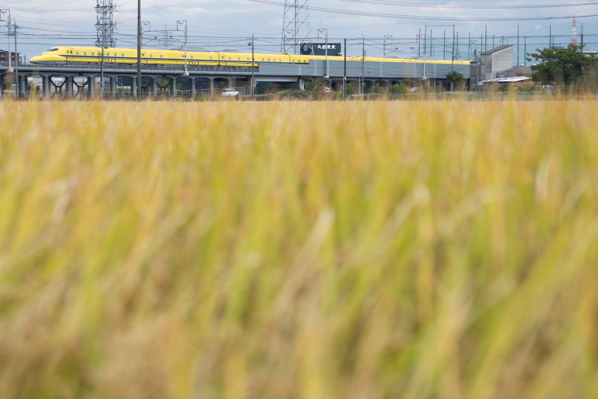 のんちゃん☆様♡ありがとうございます♡ 休日ののん💛