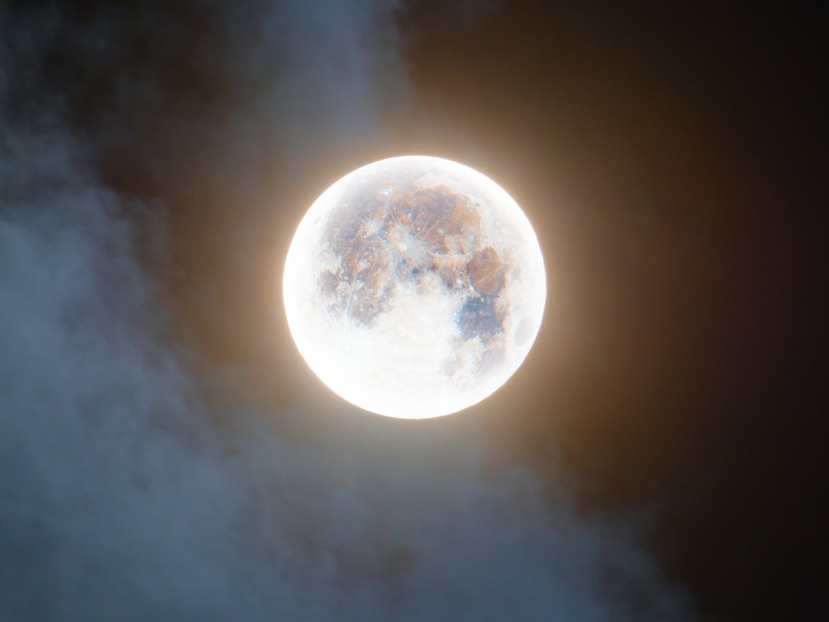 Jay 🌒 tweet media