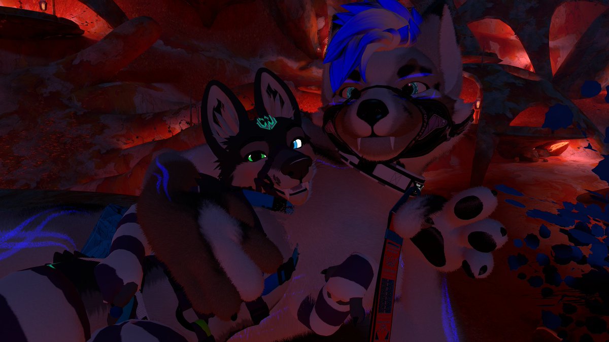 Stimky Dog tweet media