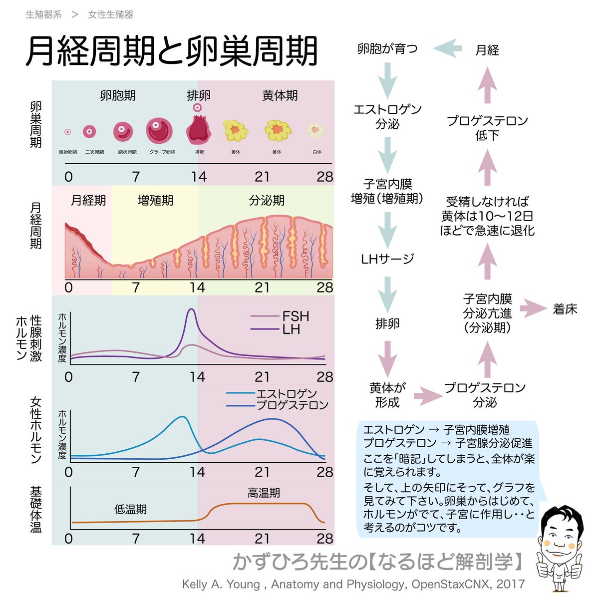 正奇経統合理論とその臨床 正奇経統合理論とその臨床 | 山下 詢 |本