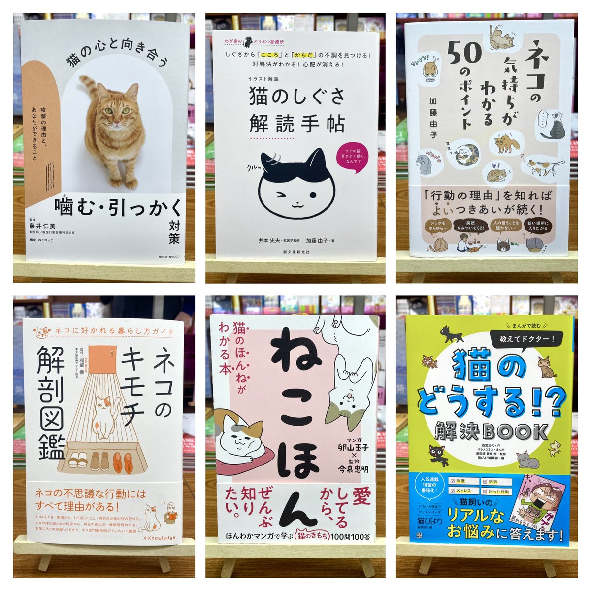 にゃん吉の姉さん！プロフィール必読！様 リクエスト 2点 まとめ商品