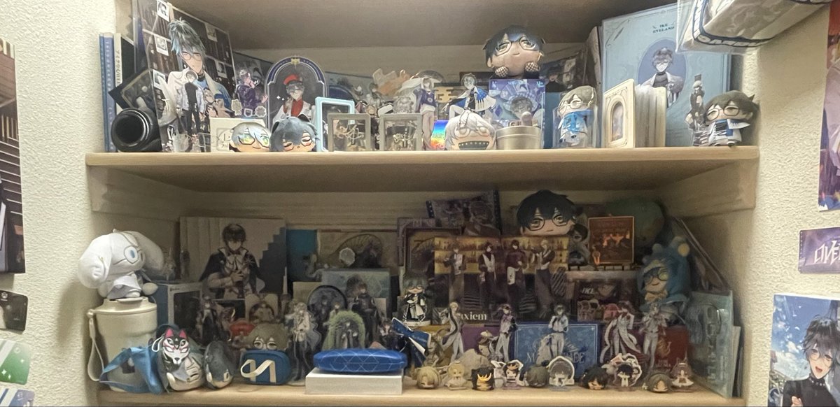 My proudest collection 💙