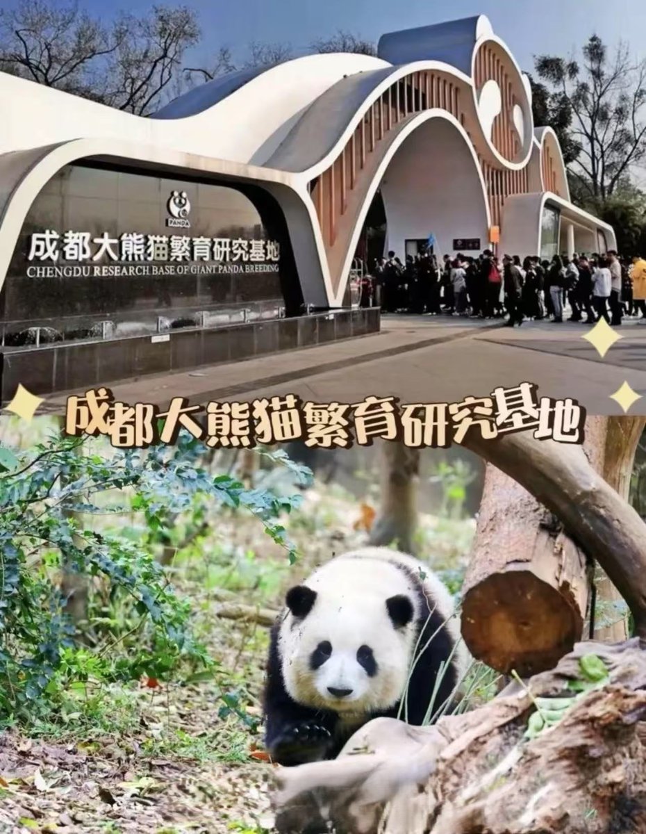 パンダと竹のサンドアートオブジェ パンダと竹のサンドアートオブジェ パンダと竹のサンドアート