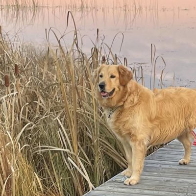 HedleyTerra's tweet photo. #NewProfilePic https://t.co/MuGrf2ldW6