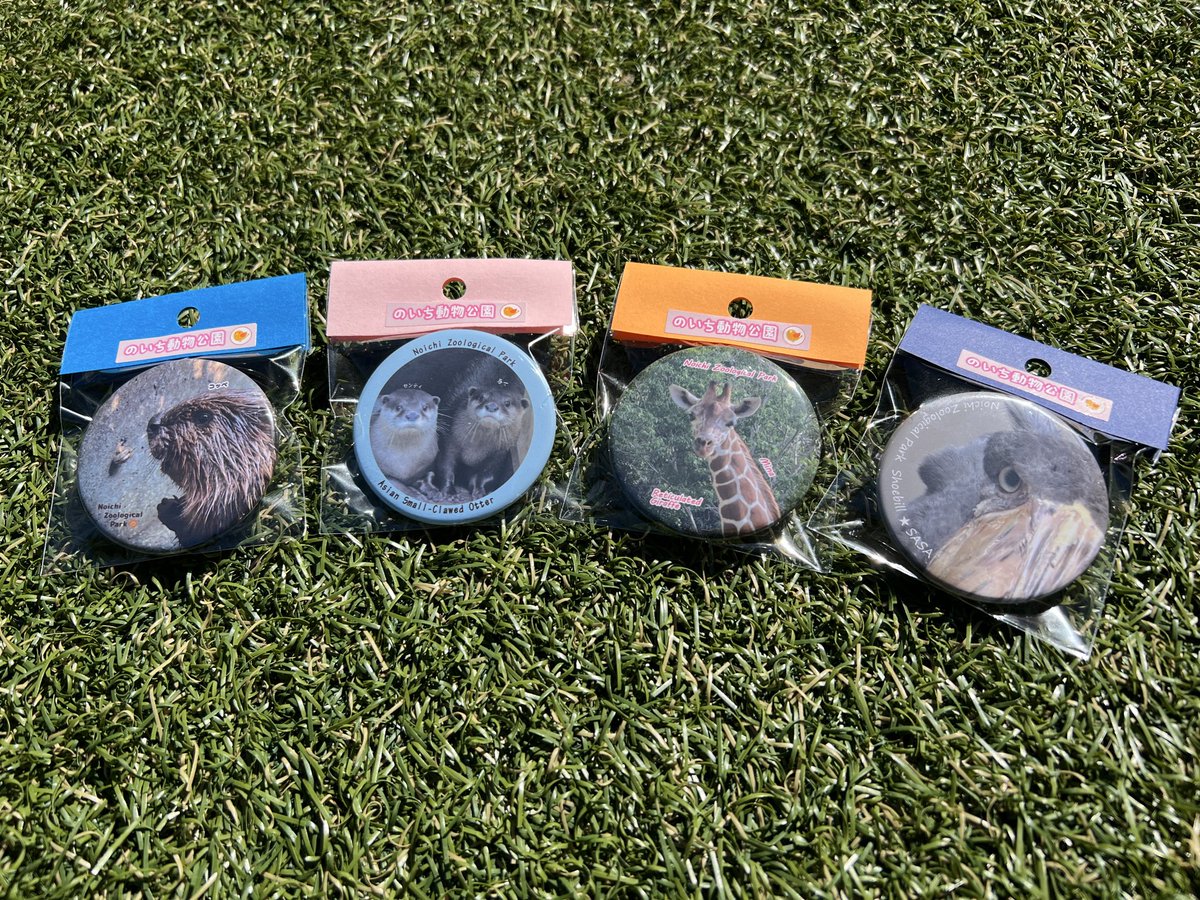 当園オリジナル缶バッジが、新たに4種登場しました🎉現在『売店の