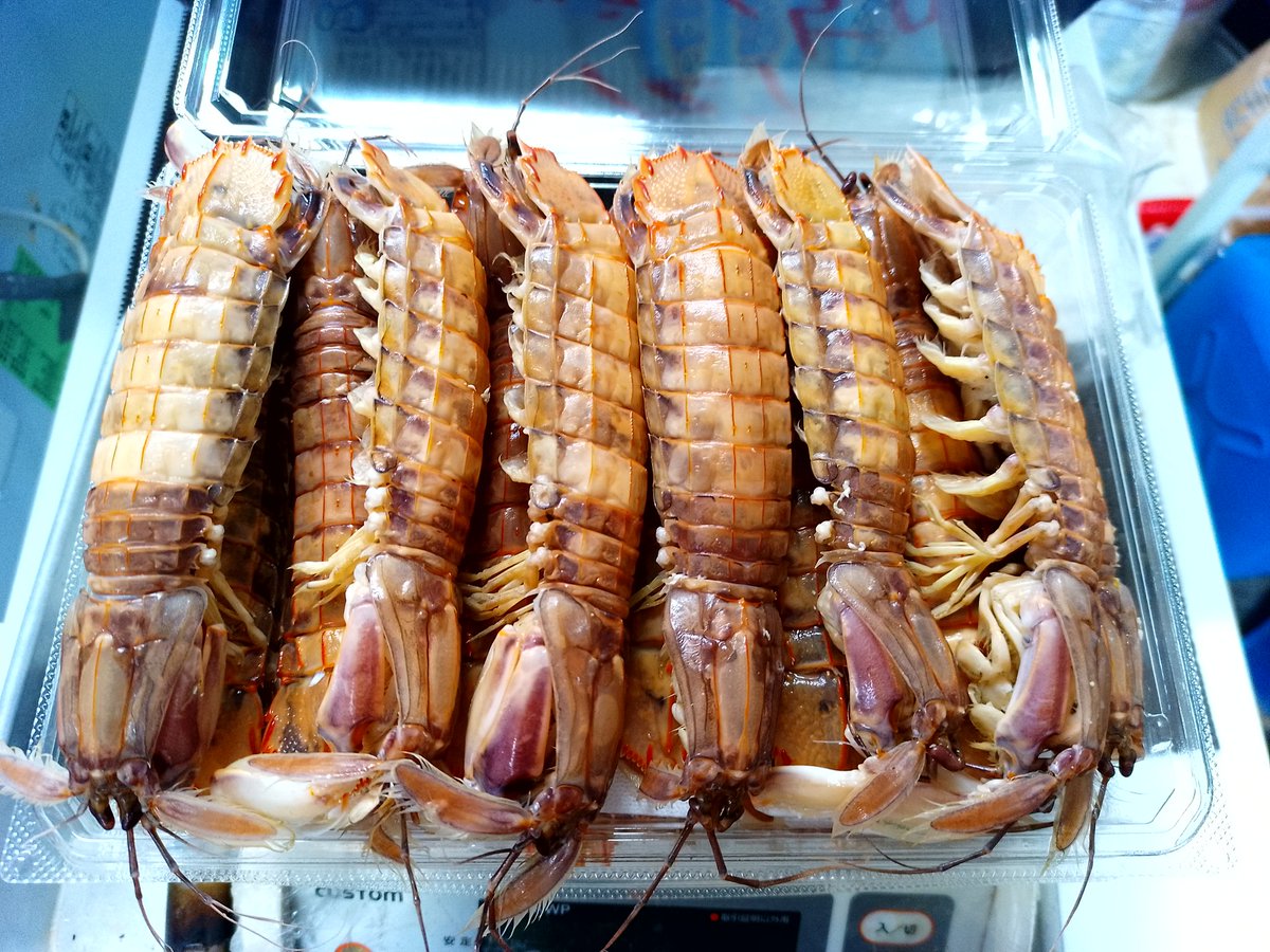 オサシミページ さしみ屋 野幌 on X