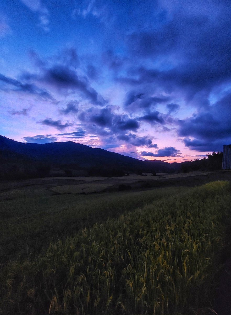 Juree_Queens's tweet photo. Golden Hour to Sunset till Twilight,  when the sun falls then the bright moonlight helped you see your way home on the dark night.
#GoldenHourWithSUHO #GoldenHour #SUHO #수호 #EXO https://t.co/XKnOFiaJ59