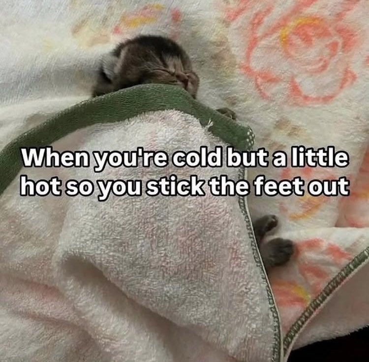 sparkliw's tweet image. 