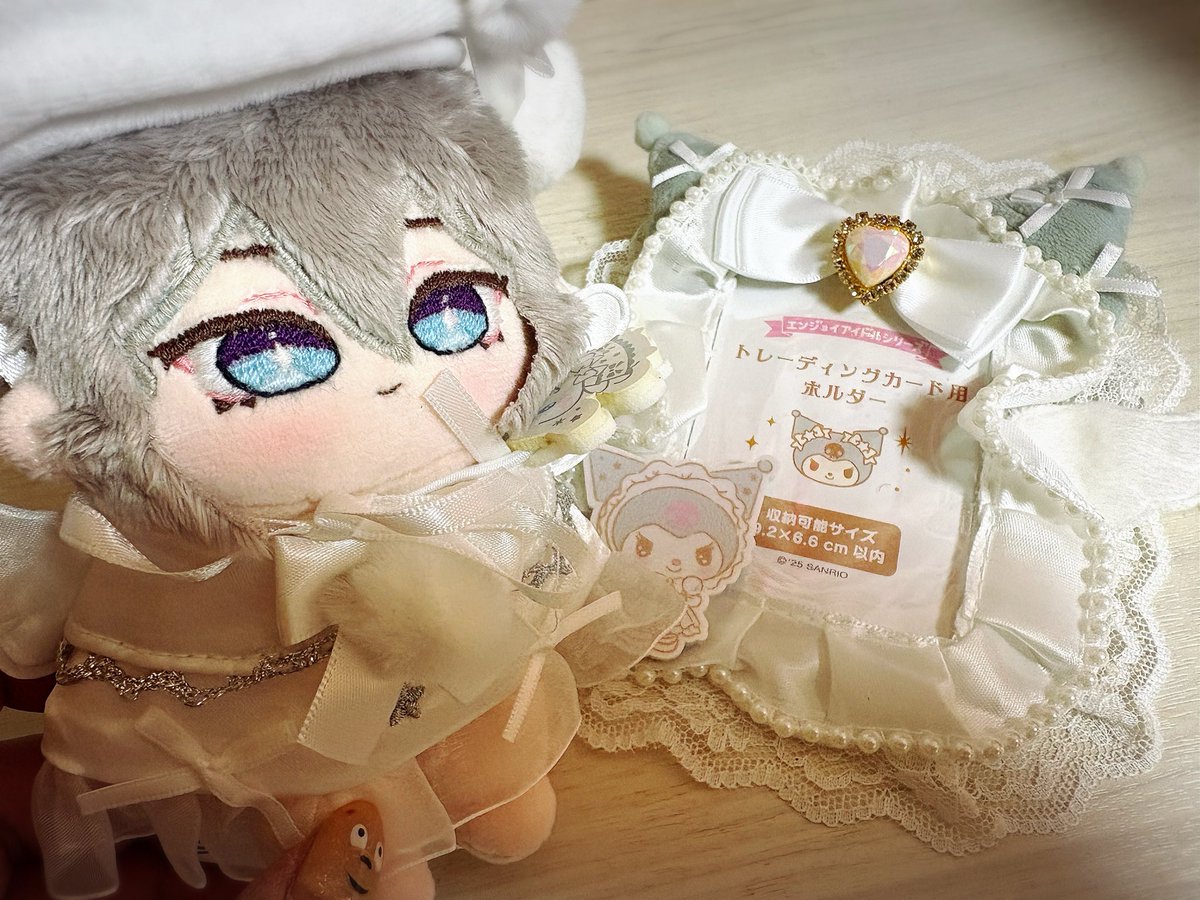 トレカケースも届いたよ˙˚ʚ✞ɞ˚˙ 
これで白のアフヌン行きたいね☁🫧🤍