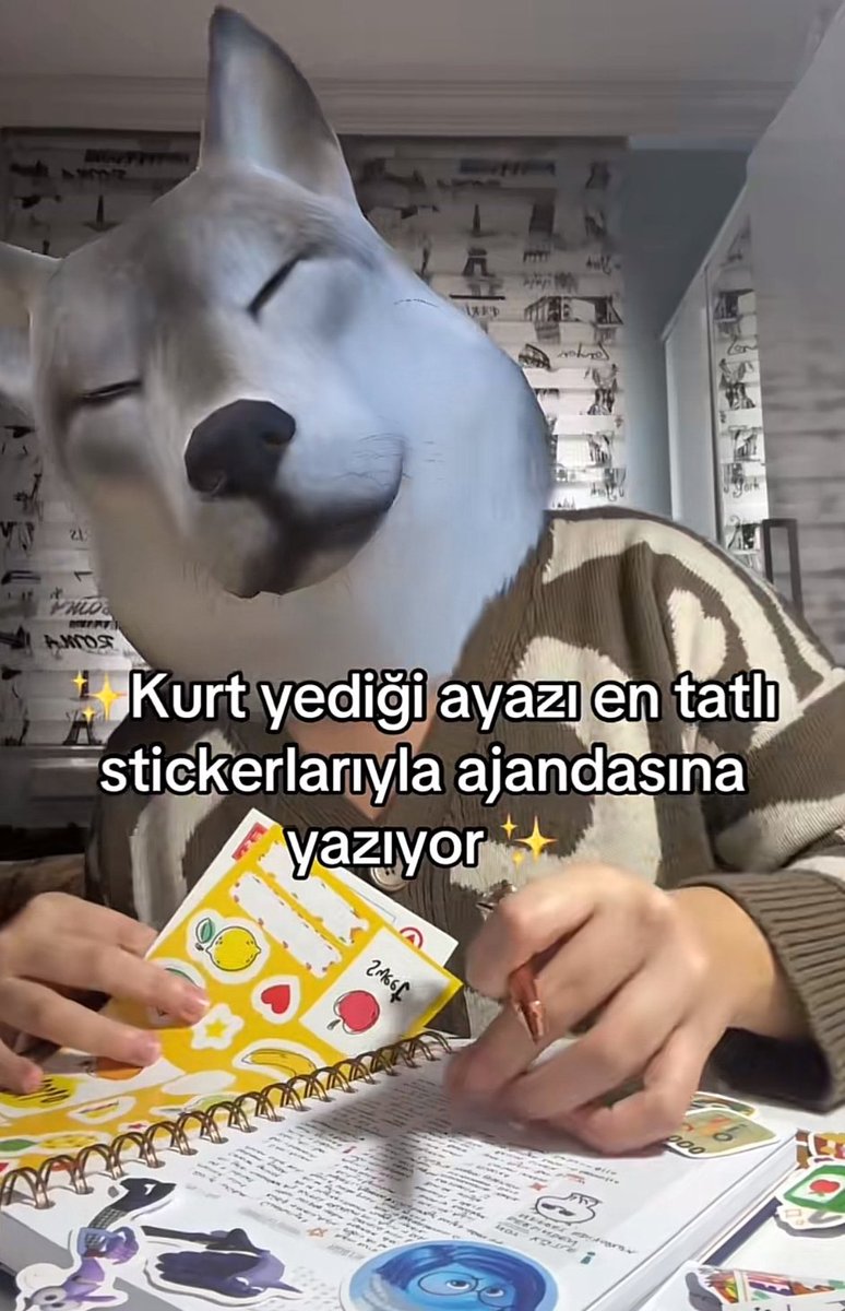 ANLIK (@anlikmod) on Twitter photo 