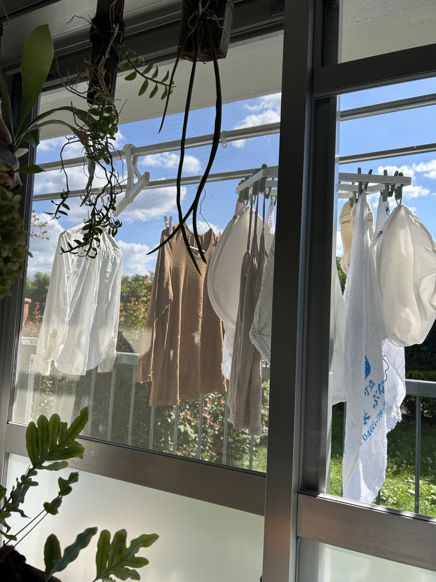 コロスケ (@kurucoro) / Posts / X