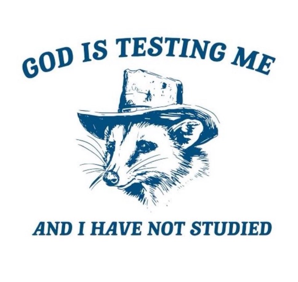 raccoonesthetic's tweet image. 