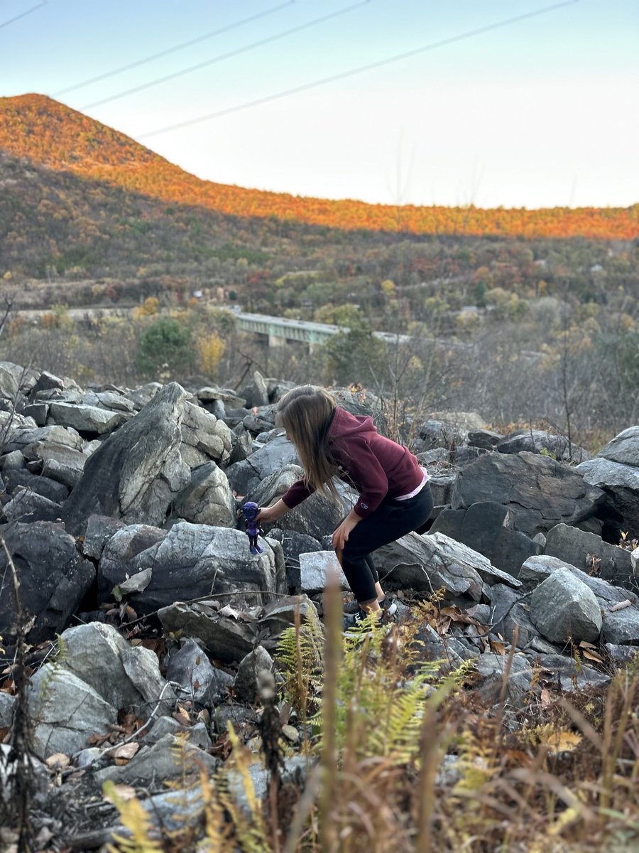 Just a girl, her fairy, and the Appalachian Trail. 🧚‍♀️🥾🍂