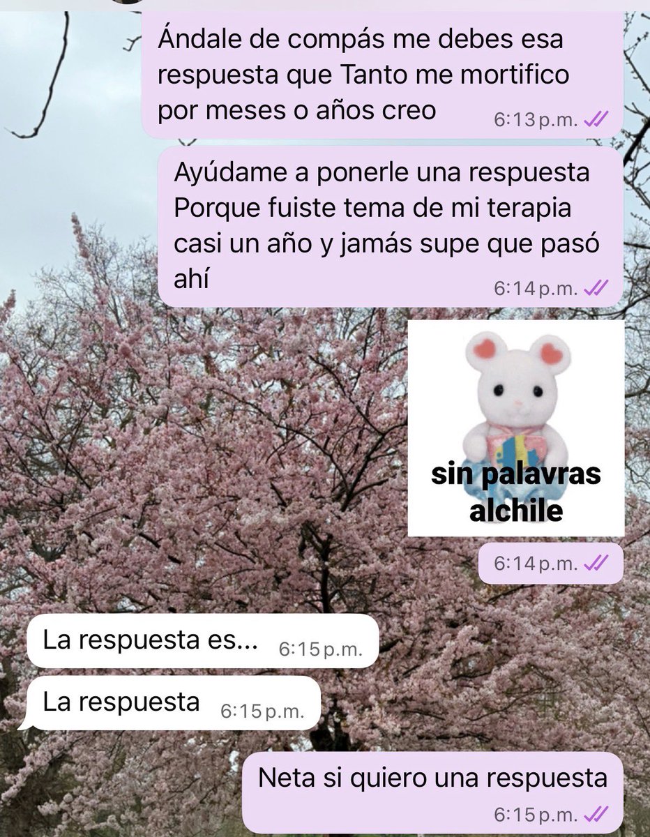 ilanarmz's tweet photo. Me caga preguntar algo y que no me contesten, diría “tengan responsabilidad afectiva”, pero no, la neta tengan tantita madre y ya. https://t.co/fPmh4zgbYd