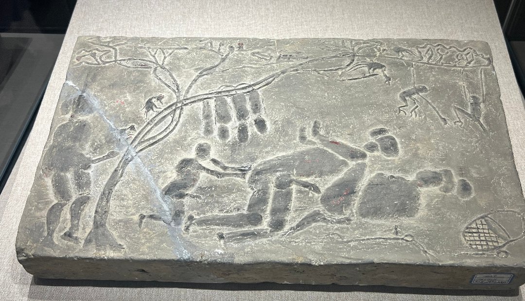 苏州上海没有人