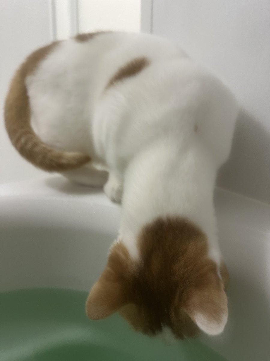 も&もちもな on X