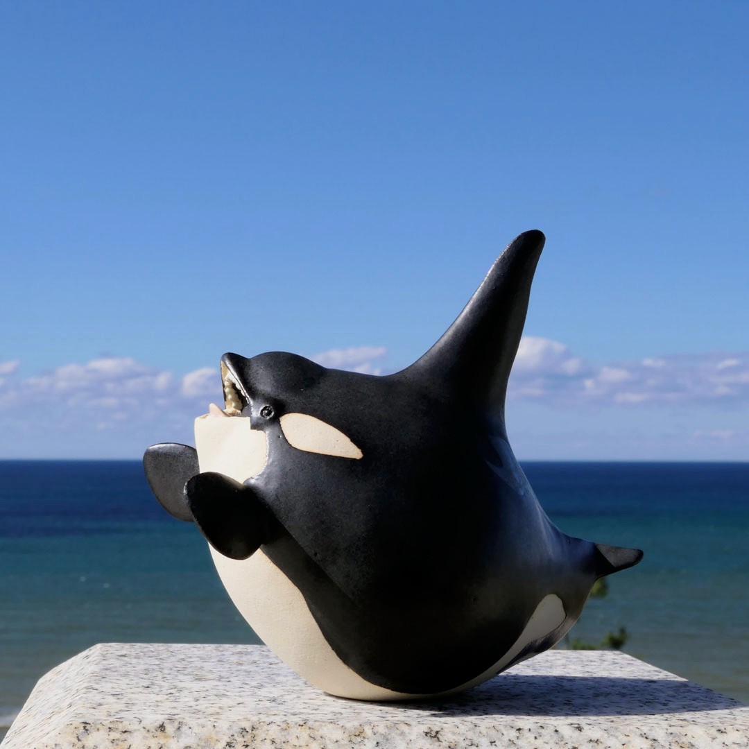 シャチおら シャチ - Wikipedia