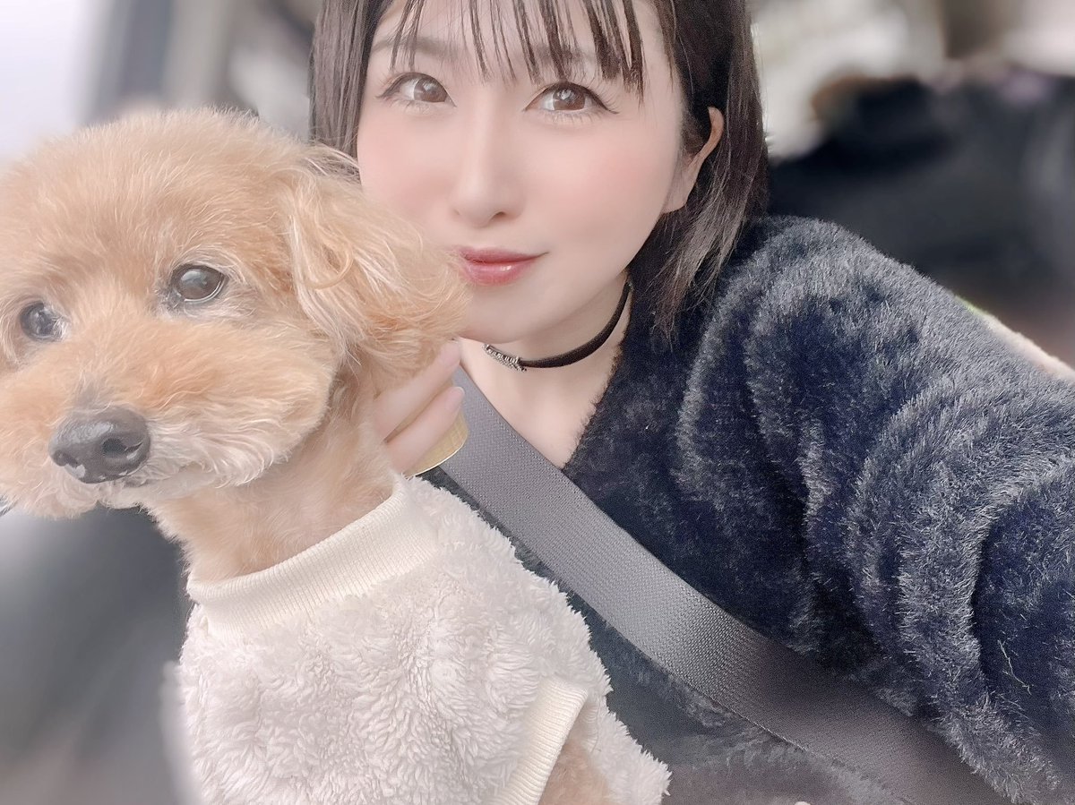 JB_spirits's tweet photo. 11月9日(日)
JBスピリッツ来店⚔️

📍PASIO玉津店
🗣 安田蘭来店
❎@janbari_ran

#PR
#JBスピリッツ https://t.co/1e9oDNJMXV