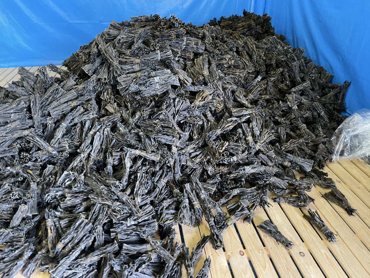 根昆布集荷
おつかれさまでした。
#日高昆布 
#根昆布 
#えりも岬