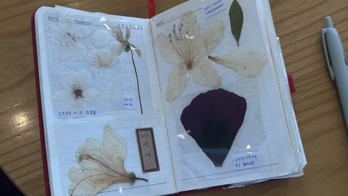 wsmor's tweet image. 핀터레스트에서 인쇄물 덕지덕지 붙인 일기장이 너무 예뻐 보여서… 올해 따라하기 시작했는데!! 이게 좋은 점이 미감 없이 아무렇게나 붙여도 대충 감성 있어 보임 ㅎㅎㅎ 일기 쓰기 귀찮은 내가 한해를 추억할 수 있는 가장 조은 방법인 듯하다