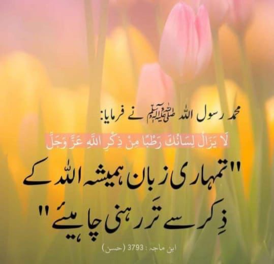 بادشاہ🎅 (@badshah6600) on Twitter photo Assalam o alikum
Good morning X Family Assalam o alikum
Good morning X Family
