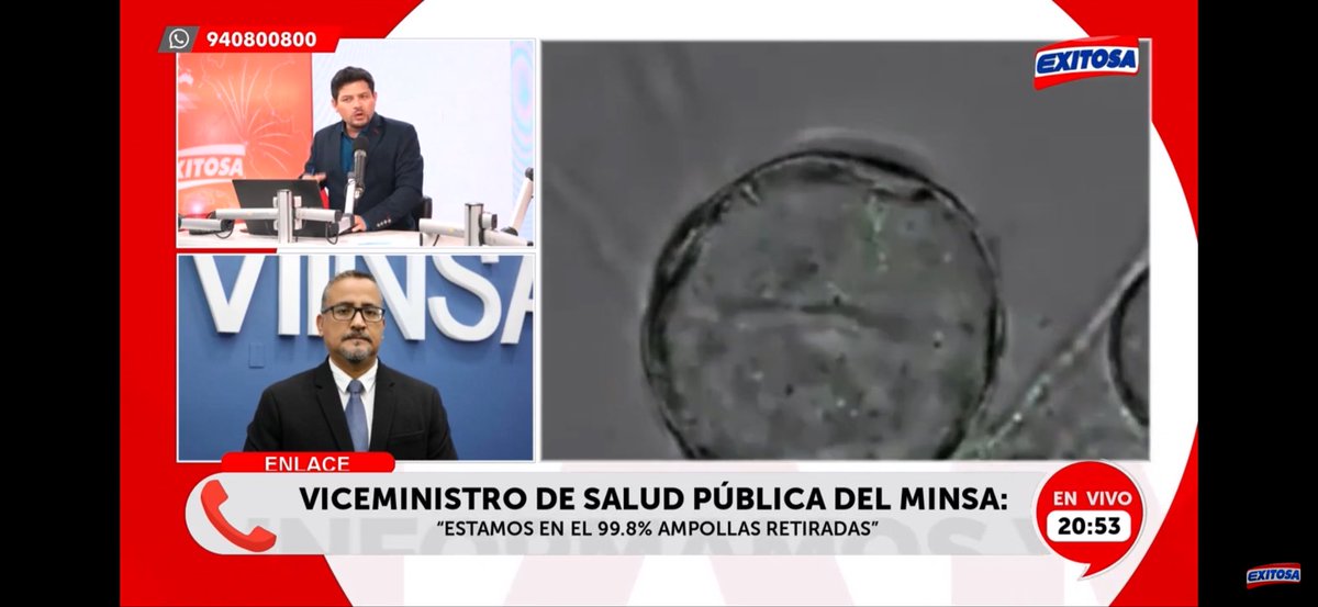 Antonio M. Quispe, M.D., Ph.D. tweet media