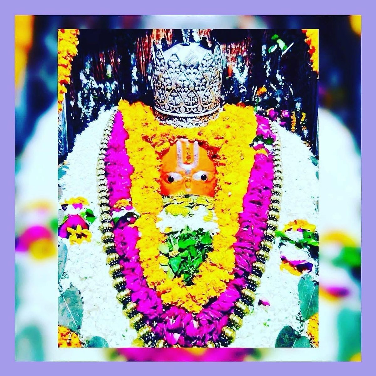 श्री हनुमते नमः 🚩🚩
श्री सीता रामाये नमः🚩🚩

सब सुख लहै तुम्हारी सरना❗️तुम रक्षक काहू को डरना...‼️

🌹 अतुलित बलधामम हेम शैलाभदेहम,
दनुज वन कृशानुम ज्ञानिनामग्रगण्याम |
सकल गुणनिधामम वानराणामधीशं,
रघुपति प्रियभक्तं वातजातम नमामि ||🌹🌹

🙏🙏 जय अयोध्या धाम की🙏🙏