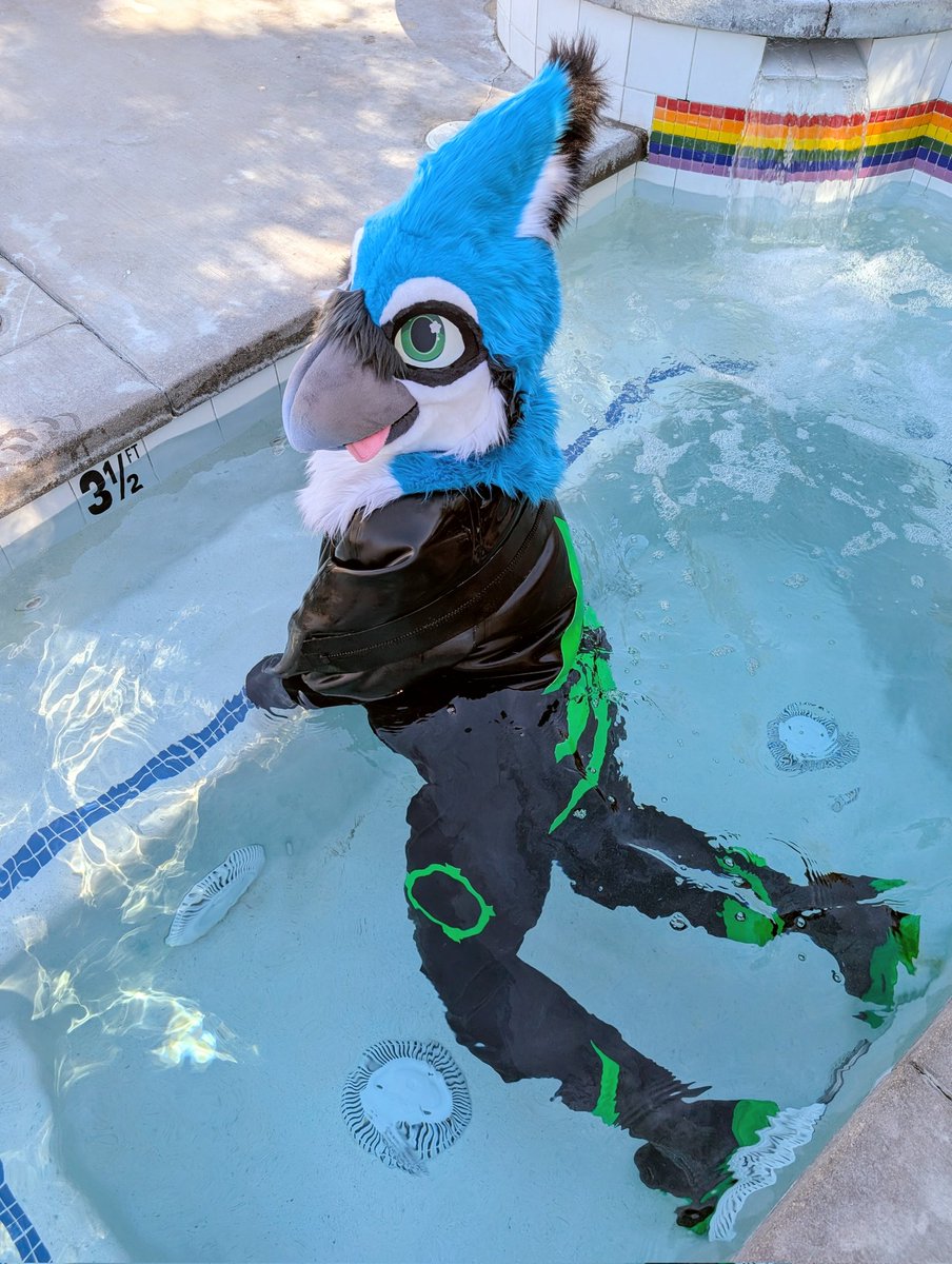 Squawk (now 100% waterproof) 🔜 LVFC tweet media