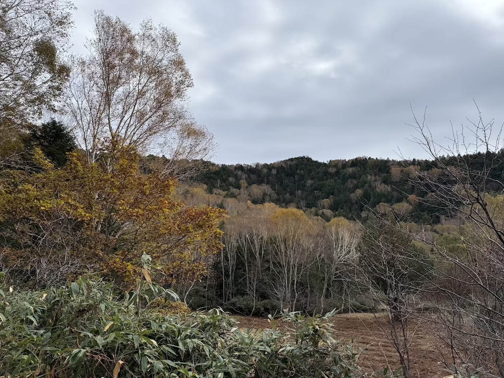 ブログを更新しました。 (モニ1000陸生鳥類 現地研修会をしてきました) バードリサーチ活動状況 - blog2.bird-research.jp/?p=1323