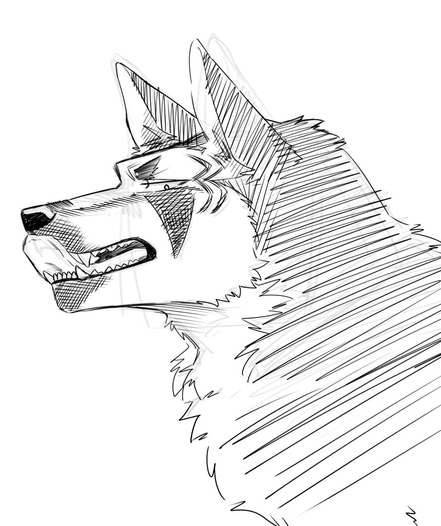 はる (@cookie0399) on Twitter photo 