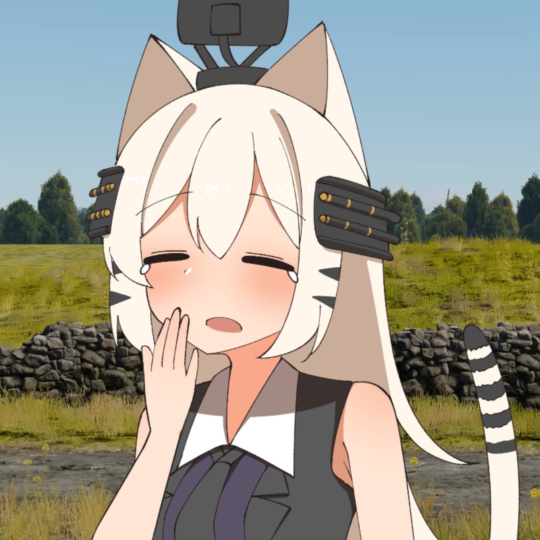 ただのスウェーデン兵器好き🇸🇪(夜行性な抹茶) (@3XSIzqpHc173796