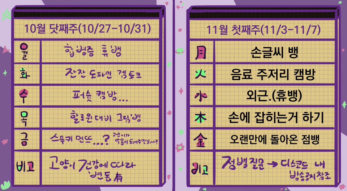 고양이 마지막주 그리고 첫주 스케쥴이다냥