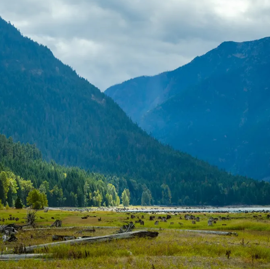 skagitwatershed's tweet image. I came across photos by Eric Tsoi. You may know(of) him. Eric lives in Vancouver BC and has gathered images from so many places that I’ll admit, an hour went by as I travelled with him for a minute.

 → skagiteec.org/blog

#erictsoi 
#upperskagitwatershed
#rosslake
#rossdam