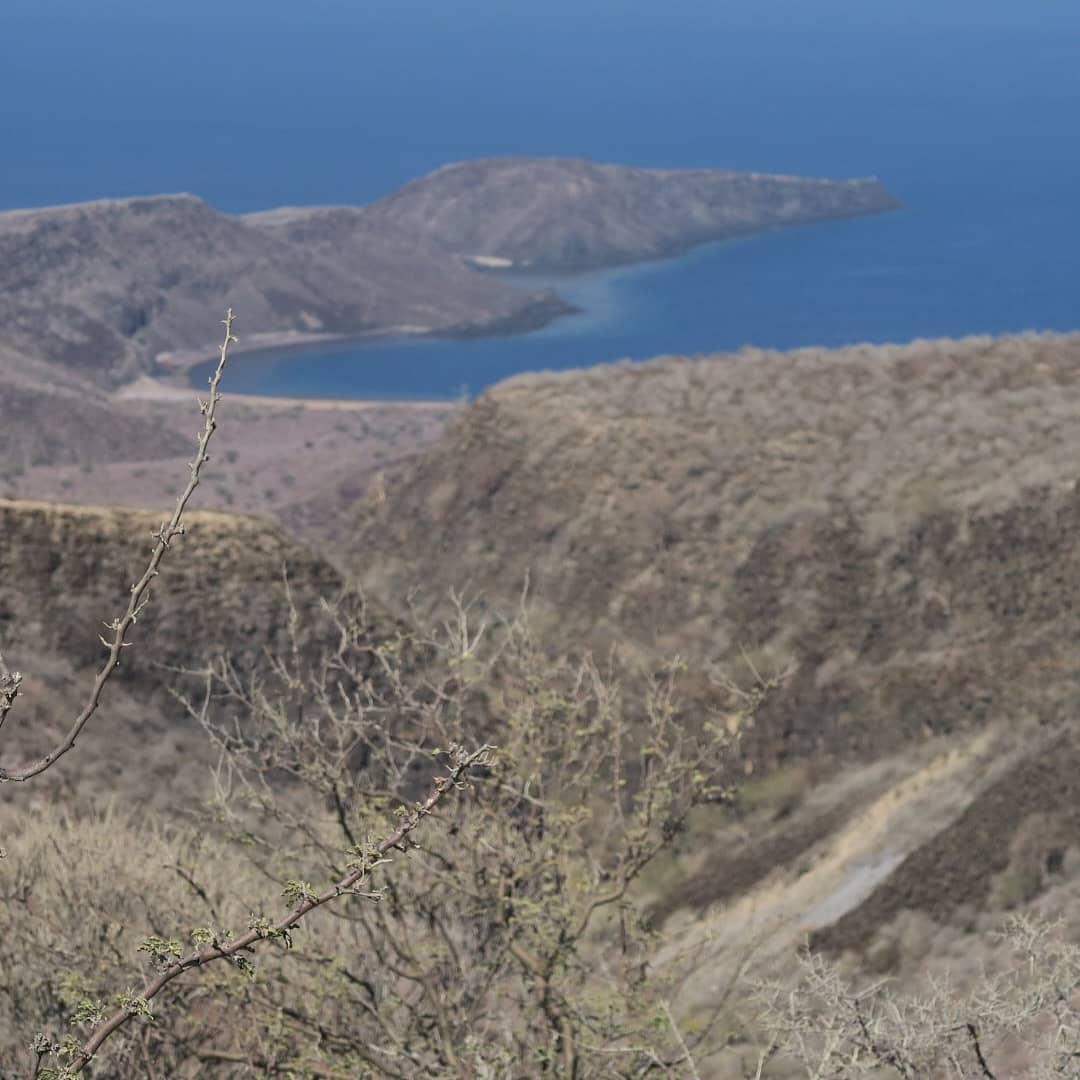 La ville d'Arta, ses défis et ses perspectives

Lire la suite :
adi.dj/index.php/site…