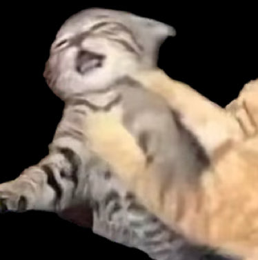 Your ship doesn't need to be canon for you to enjoy it and you don't need to enjoy all canon ships