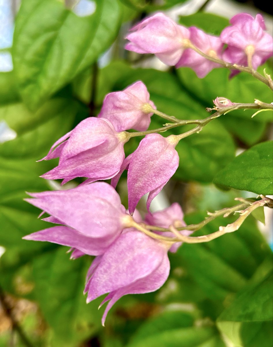 ニシゴロウ (@uWoSSLbi6kaaqwP) / Posts / X