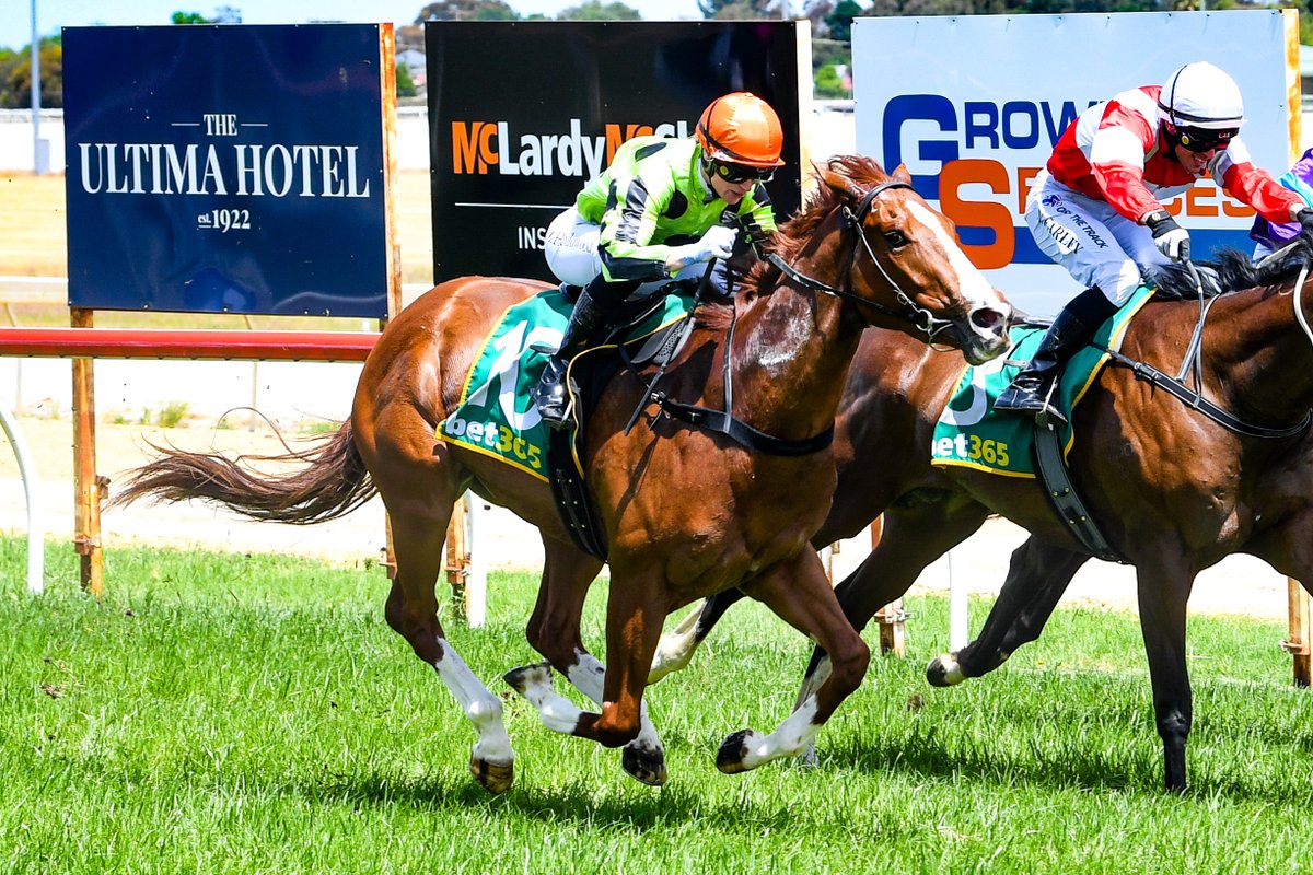 Racing Victoria tweet media