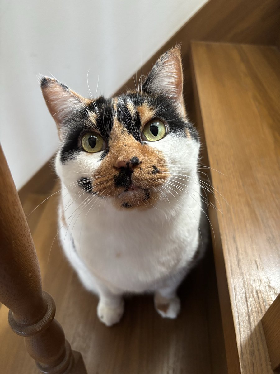 雷十太先生 (@asjSvnCZl18wKXM) / Posts / X