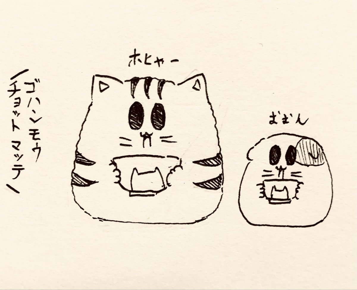 ご飯の時間が近づくと茶碗もって待ってるもち虎さん達🐯🐱 
