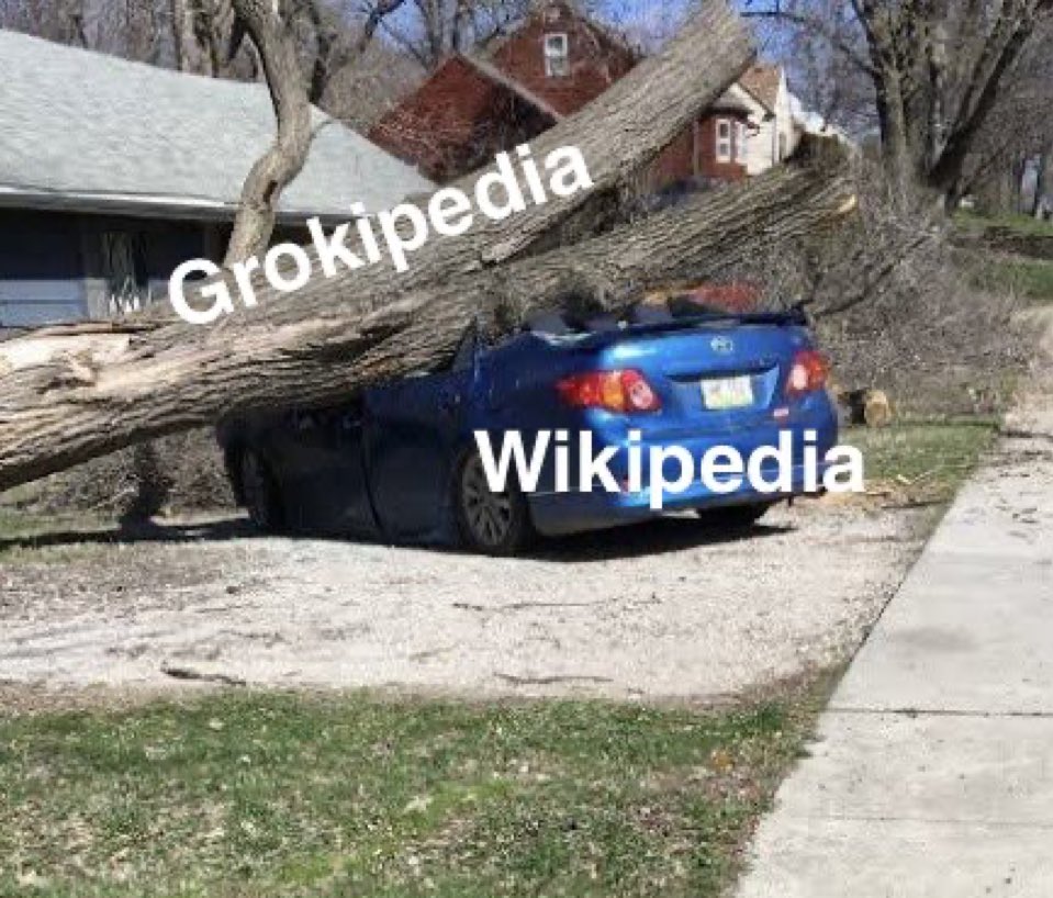 Anna Paulina Luna tweet media