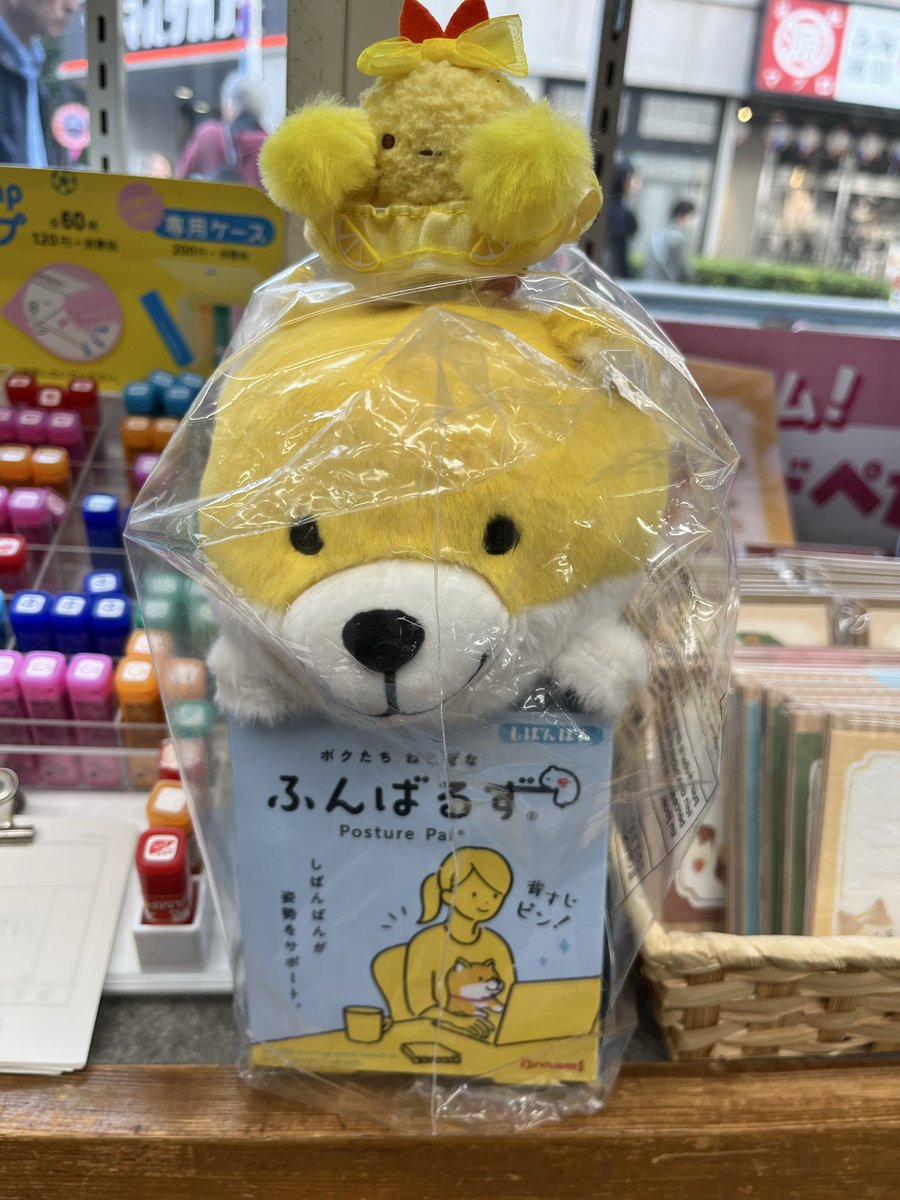 オオゴシ ヤステル (@ogoshi_yasuteru) / Posts / X