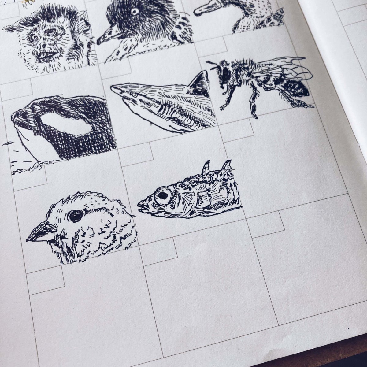 いつも頑張りすぎてしまう... 境界線が曖昧で疲れていませんか？

トゲウオのオスは、自分のなわばりを正確に認識していて、なわばりの内だけ攻撃的になります。つまり、「自分の領域」を明確に持つことが、健全な関係の基礎。