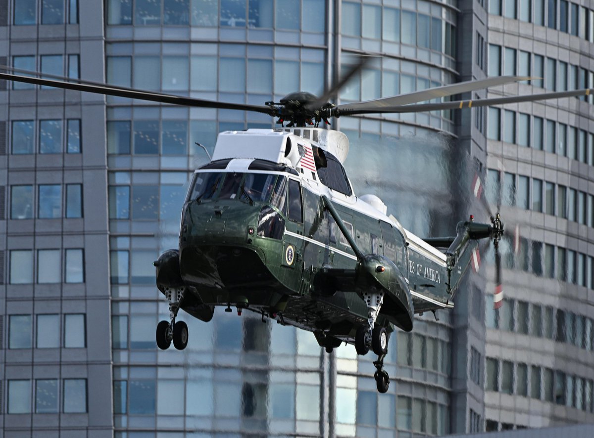 くまつな⭐︎ ギンナン~(˘▾˘~) (@tmkzm0711) / Posts / X